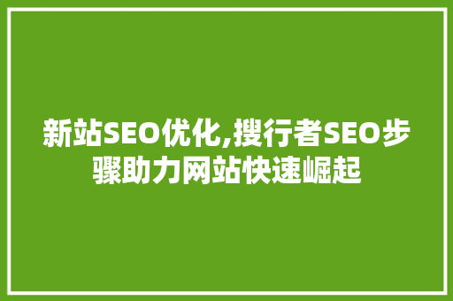 新站SEO优化,搜行者SEO步骤助力网站快速崛起