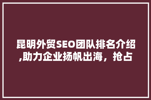 昆明外贸SEO团队排名介绍,助力企业扬帆出海，抢占国际市场先机