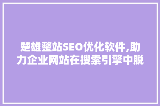 楚雄整站SEO优化软件,助力企业网站在搜索引擎中脱颖而出