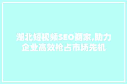 湖北短视频SEO商家,助力企业高效抢占市场先机
