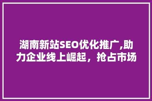 湖南新站SEO优化推广,助力企业线上崛起，抢占市场先机