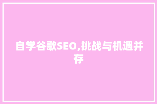 自学谷歌SEO,挑战与机遇并存