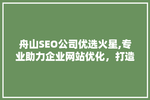 舟山SEO公司优选火星,专业助力企业网站优化，打造互联网新高峰