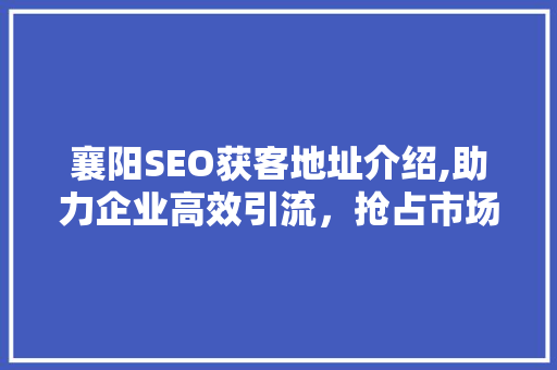 襄阳SEO获客地址介绍,助力企业高效引流，抢占市场先机