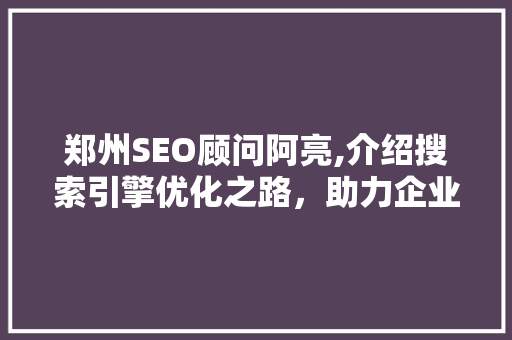 郑州SEO顾问阿亮,介绍搜索引擎优化之路，助力企业腾飞