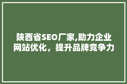 陕西省SEO厂家,助力企业网站优化，提升品牌竞争力