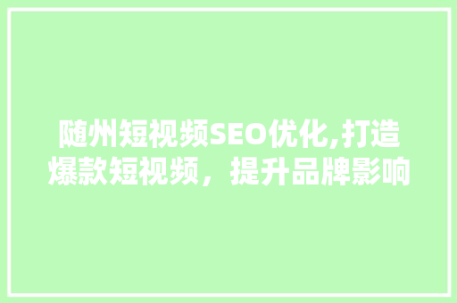 随州短视频SEO优化,打造爆款短视频，提升品牌影响力