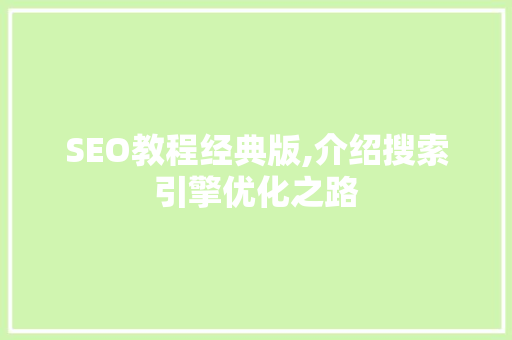 SEO教程经典版,介绍搜索引擎优化之路
