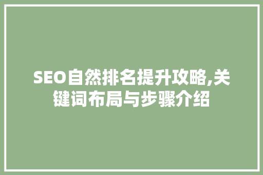 SEO自然排名提升攻略,关键词布局与步骤介绍