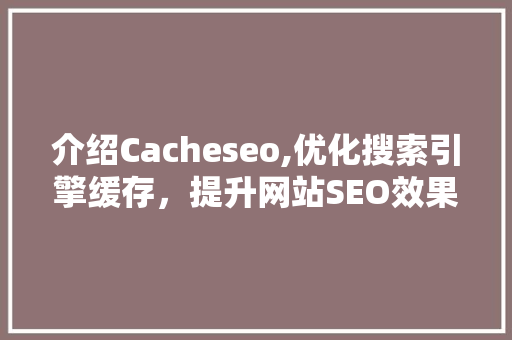 介绍Cacheseo,优化搜索引擎缓存，提升网站SEO效果的方法