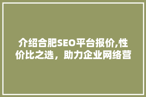 介绍合肥SEO平台报价,性价比之选，助力企业网络营销腾飞