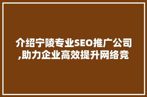 介绍宁陵专业SEO推广公司,助力企业高效提升网络竞争力