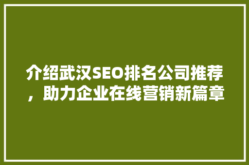 介绍武汉SEO排名公司推荐，助力企业在线营销新篇章