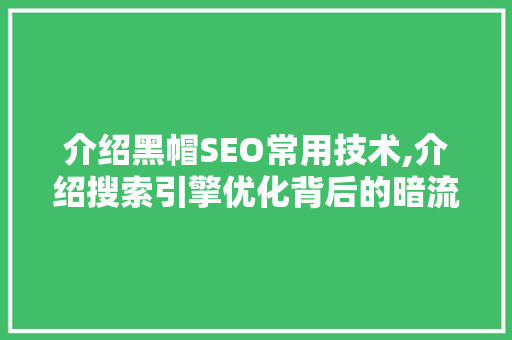 介绍黑帽SEO常用技术,介绍搜索引擎优化背后的暗流涌动