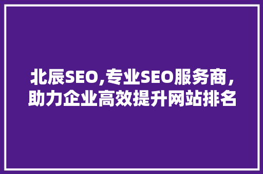 北辰SEO,专业SEO服务商，助力企业高效提升网站排名
