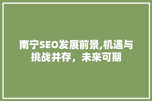南宁SEO发展前景,机遇与挑战并存，未来可期