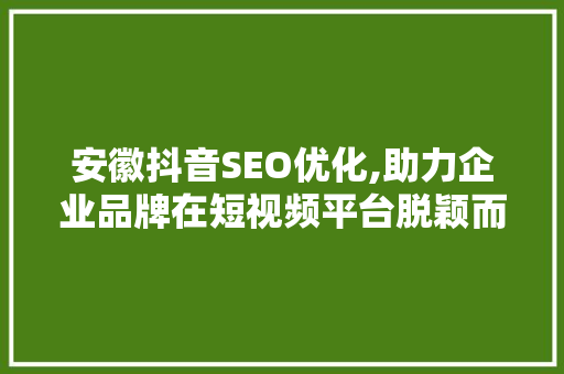 安徽抖音SEO优化,助力企业品牌在短视频平台脱颖而出