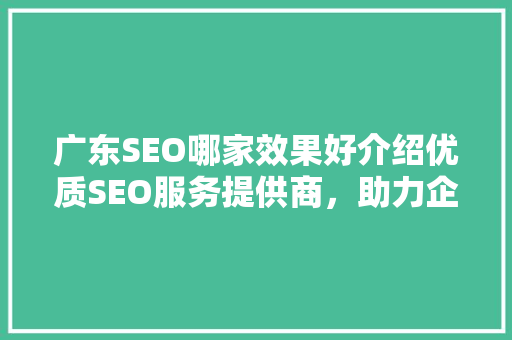 广东SEO哪家效果好介绍优质SEO服务提供商，助力企业腾飞