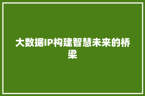 大数据IP构建智慧未来的桥梁  第1张