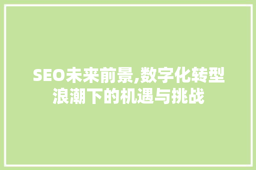 SEO未来前景,数字化转型浪潮下的机遇与挑战