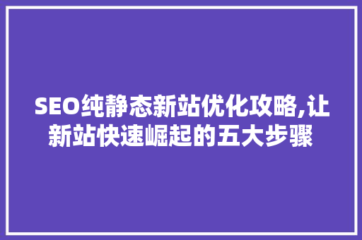 SEO纯静态新站优化攻略,让新站快速崛起的五大步骤