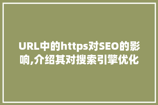 URL中的https对SEO的影响,介绍其对搜索引擎优化的双重作用
