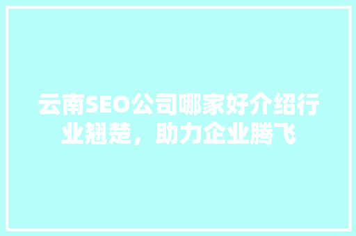 云南SEO公司哪家好介绍行业翘楚，助力企业腾飞
