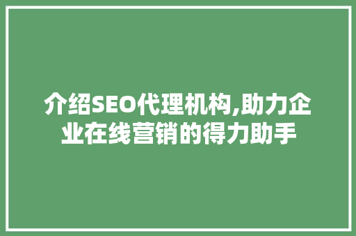 介绍SEO代理机构,助力企业在线营销的得力助手