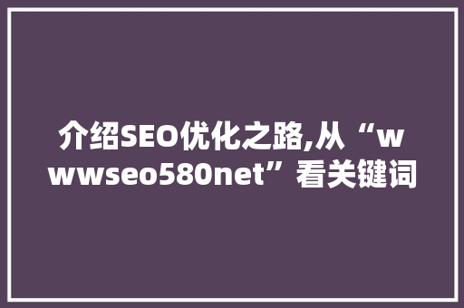 介绍SEO优化之路,从“wwwseo580net”看关键词布局的艺术