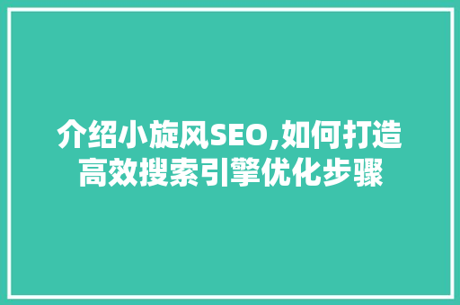 介绍小旋风SEO,如何打造高效搜索引擎优化步骤