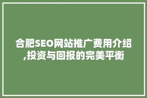 合肥SEO网站推广费用介绍,投资与回报的完美平衡