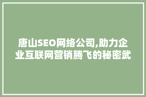 唐山SEO网络公司,助力企业互联网营销腾飞的秘密武器