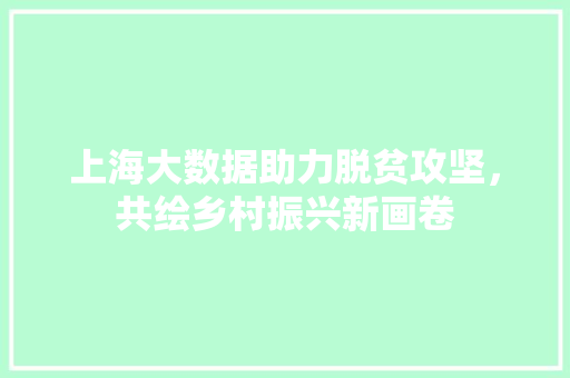 上海大数据助力脱贫攻坚，共绘乡村振兴新画卷