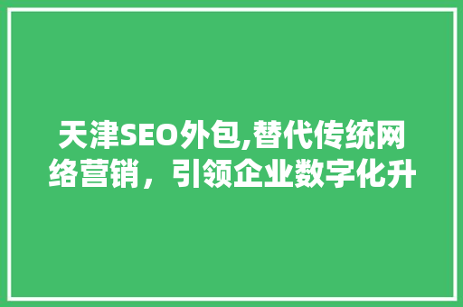 天津SEO外包,替代传统网络营销，引领企业数字化升级