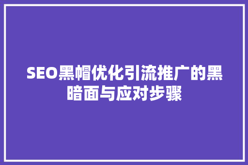 SEO黑帽优化引流推广的黑暗面与应对步骤