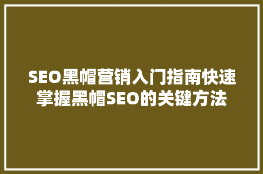 SEO黑帽营销入门指南快速掌握黑帽SEO的关键方法
