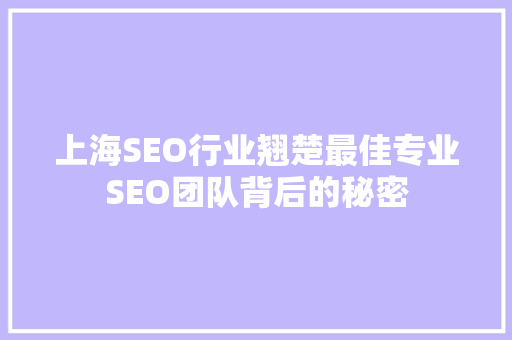 上海SEO行业翘楚最佳专业SEO团队背后的秘密