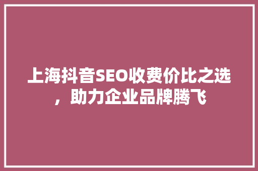 上海抖音SEO收费价比之选，助力企业品牌腾飞