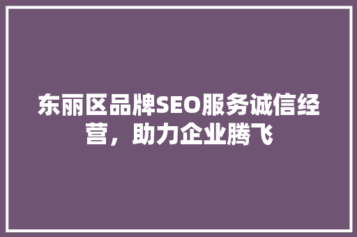 东丽区品牌SEO服务诚信经营，助力企业腾飞