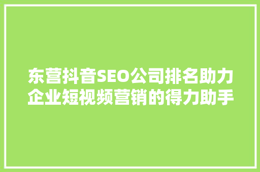 东营抖音SEO公司排名助力企业短视频营销的得力助手