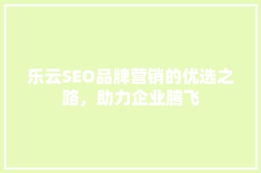 乐云SEO品牌营销的优选之路，助力企业腾飞