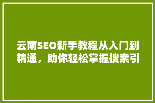 云南SEO新手教程从入门到精通，助你轻松掌握搜索引擎优化方法