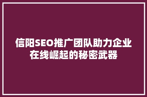 信阳SEO推广团队助力企业在线崛起的秘密武器