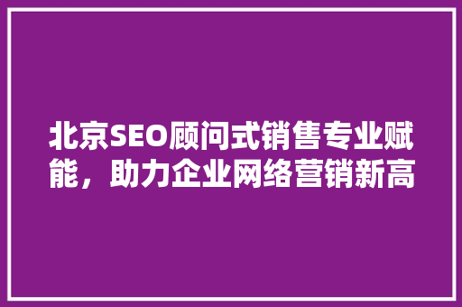 北京SEO顾问式销售专业赋能，助力企业网络营销新高度