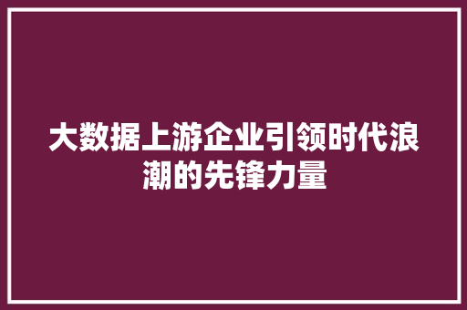 大数据上游企业引领时代浪潮的先锋力量  第1张