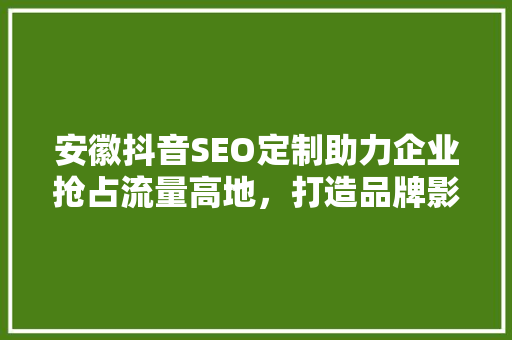 安徽抖音SEO定制助力企业抢占流量高地，打造品牌影响力  第1张
