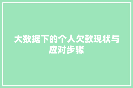大数据下的个人欠款现状与应对步骤