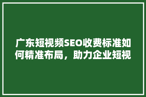 广东短视频SEO收费标准如何精准布局，助力企业短视频营销  第1张