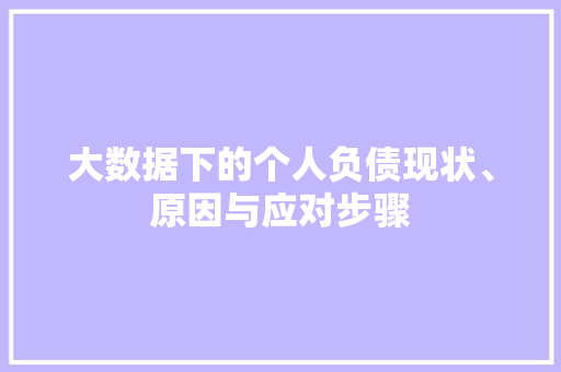 大数据下的个人负债现状、原因与应对步骤  第1张