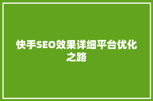 快手SEO效果详细平台优化之路